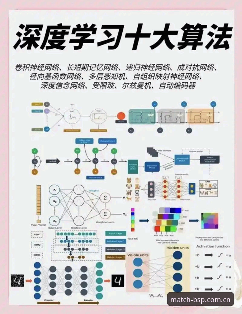 资深玩家深度剖析：BSP赛事核心的实战体验与账户安全心得