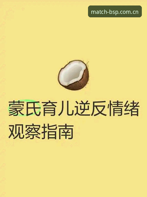 资深用户分享B体育直播实战经验：从入门到精通的竞技观察指南