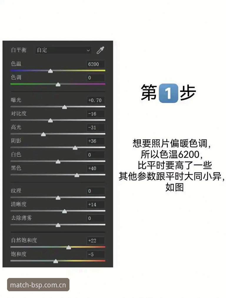 BSP高光时刻对比 新手也能玩转BSP高光时刻对比实用技巧