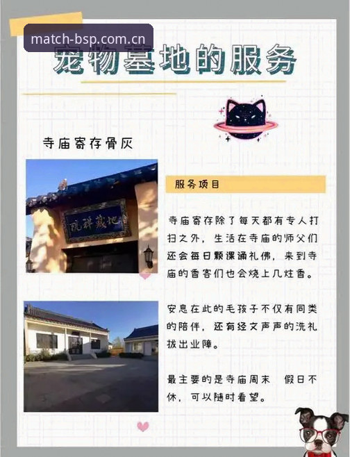 BSP iOS版安装教程 B体育官方平台BSP iOS版安装教程的核心要点与避坑指南